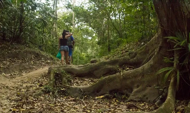 Tayrona National Park - Trek to Cabo San Juan