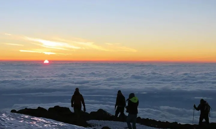 Mount Kilimanjaro 8-Days; Lemosho Route