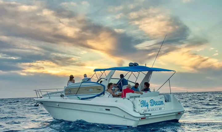 1 Hour Cabo Highlights on a 33ft Luxury Yacht