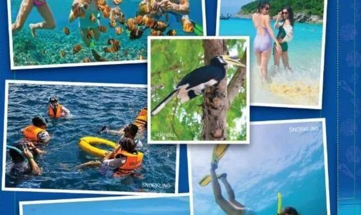 Phuket Sightseeing Raya and Coral Island Full Day By Speedboat