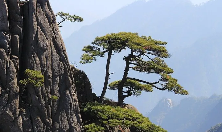 The Best of Huangshan Walking Tour