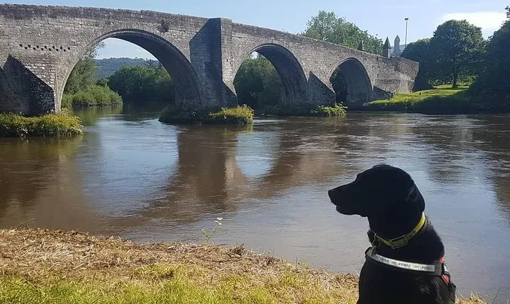 Braveheart (Battle of Stirling Bridge) Tour