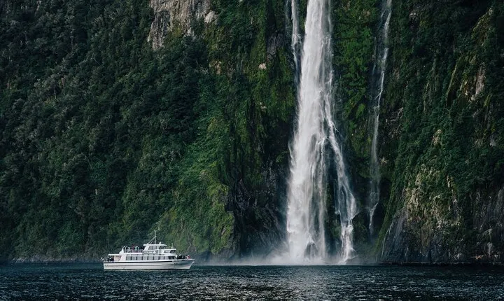Milford Sound Coach, Cruise and Flight Sightseeing Tour from Queenstown