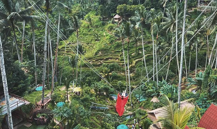 Ubud Private Tour: Waterfall, Monkey Forest, Rice Terrace, Temple