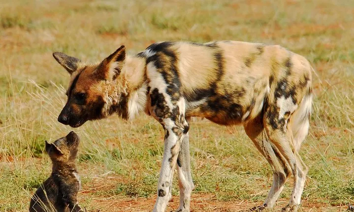 4 Days Touch of Wilderness – Mid-Range