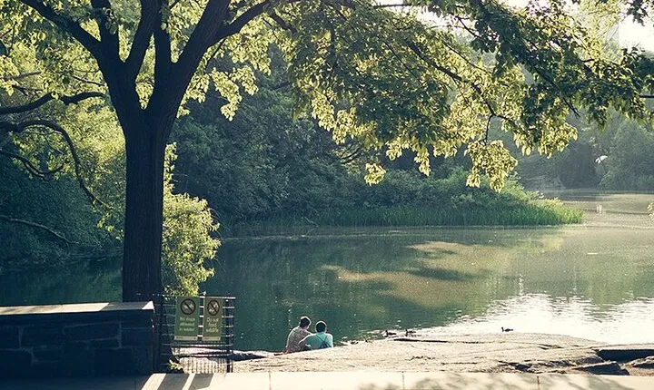 Capture NYC Personalized Photo Tours with a Local Expert