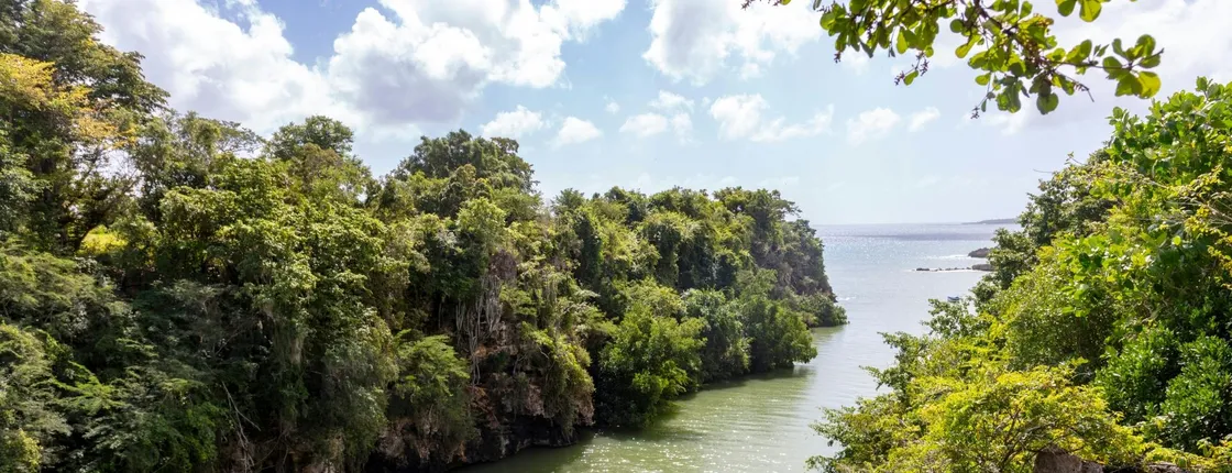 Higuey and River Yuma full-day tour with lunch and Voodoo show