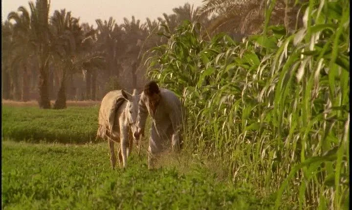 Half-Day Trip to Egyptian Green Farm from Cairo with Breakfast