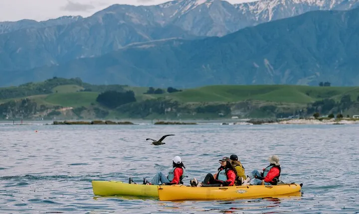 Private Seal Kayaking and Wildlife Tour in Kaikoura