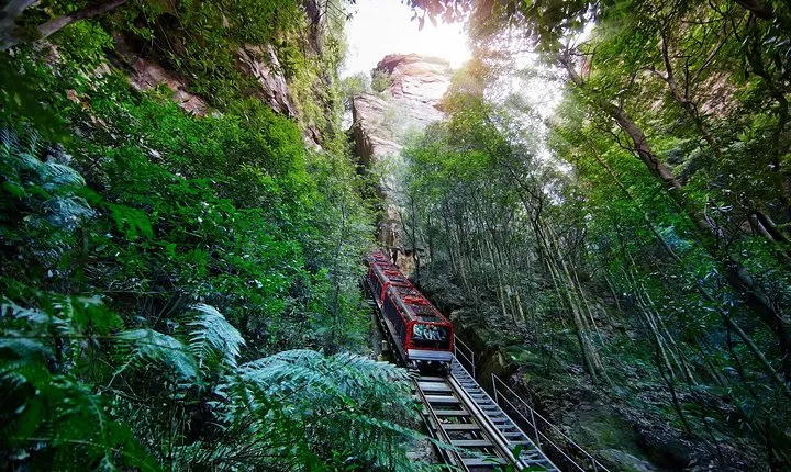 Blue Mountains Small-Group Tour from Sydney with Scenic World,Sydney Zoo & Ferry