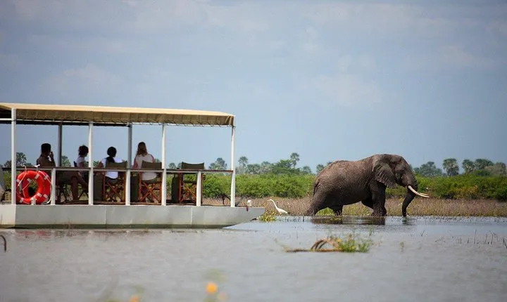 A Day Trip To Selous Fly From Zanzibar