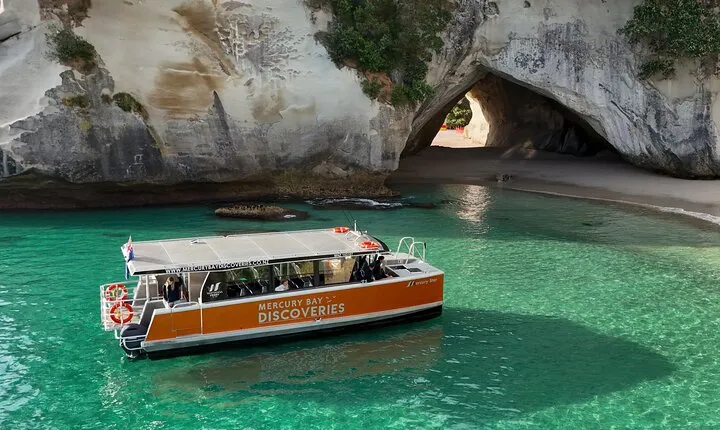 Cathedral Cove Coast and Cave Activity