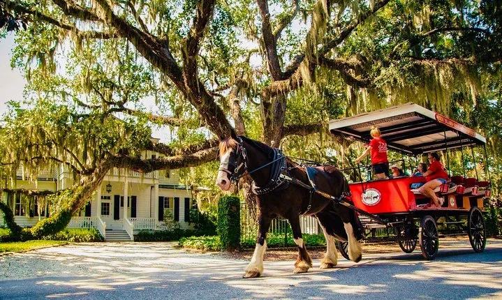 Beaufort’s #1 Horse & Carriage History Tour