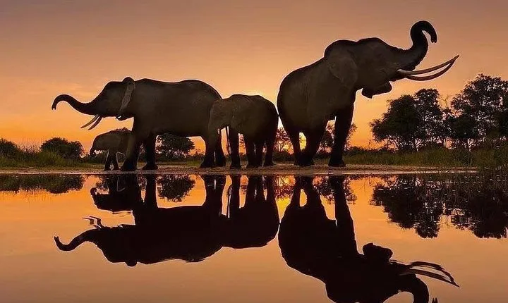 Private Day Trip to Ngorongoro Crater