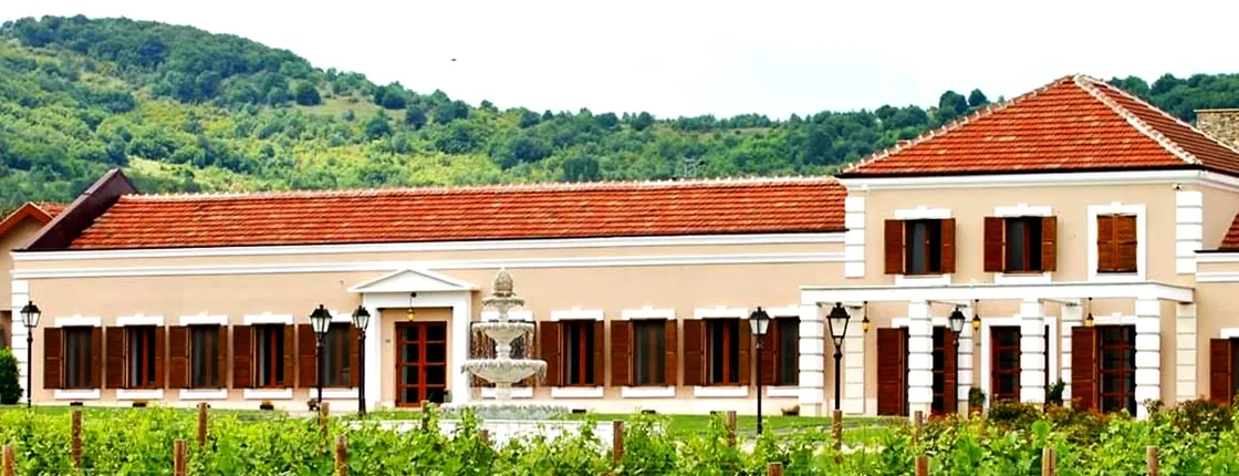 Midalidare Estate Wine Tasting & Activities
