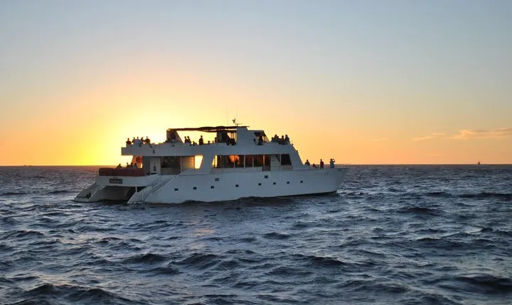 Cabo San Lucas Sunset Cruise with Dinner and Open Bar