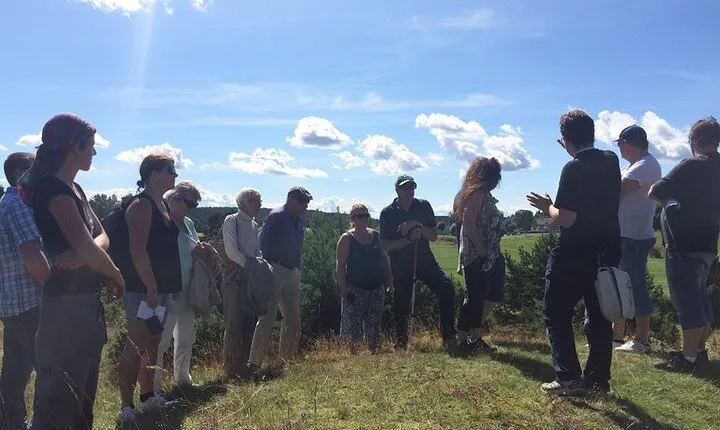 Guided nature and history experience 8h, Biskops-Arnö and Sigtuna from Stockholm