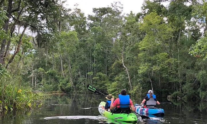 Self-Guided Kayaking: Real Florida Adventure