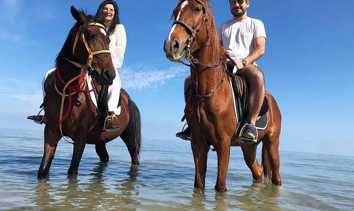 Horse riding , Bedouin Dinner & Egyptian show - Sharm El Sheikh