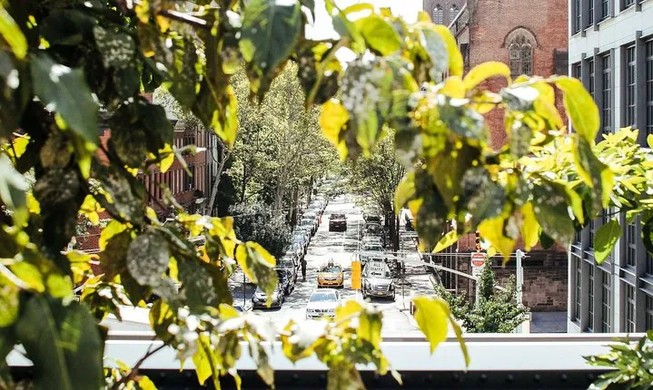 High Line and Chelsea Small Group Tour