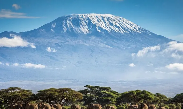 Climb Mount Kilimanjaro: 7 Days Machame Route
