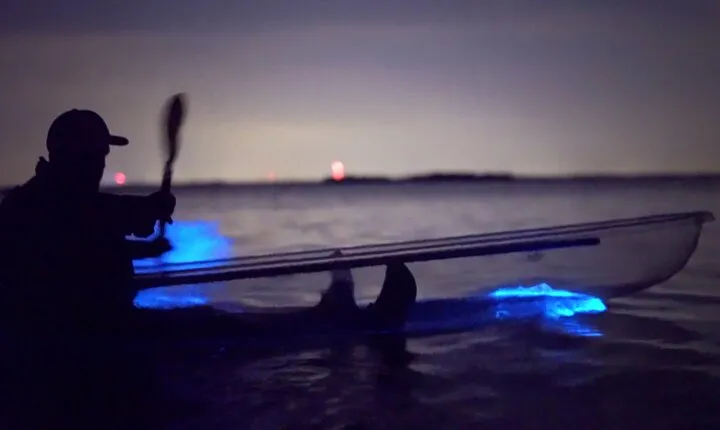 Florida Bioluminescence Clear Kayak tour/ Beacon 42 (Titusville)