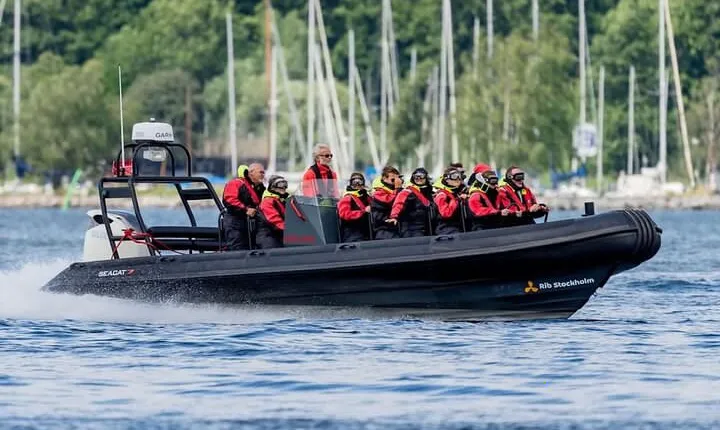 Stockholm Speed Boat 2 Hour Archipelago Tour