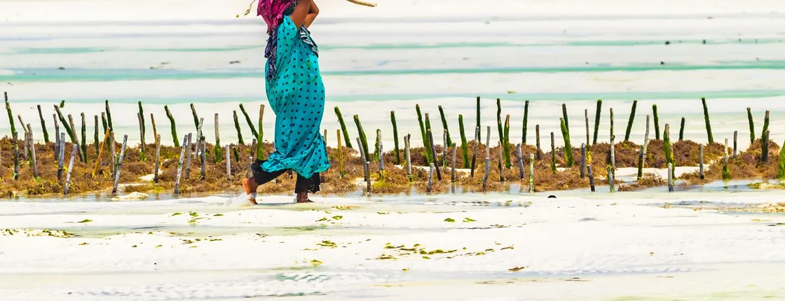 Zanzibar people and culture private tour