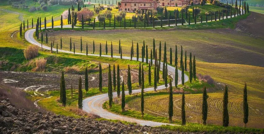 Brunello di Montalcino Wine tour from San Gimignano