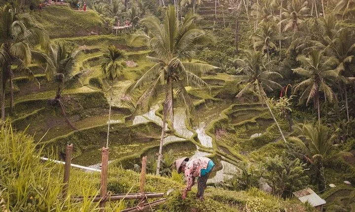 Ubud Adventures