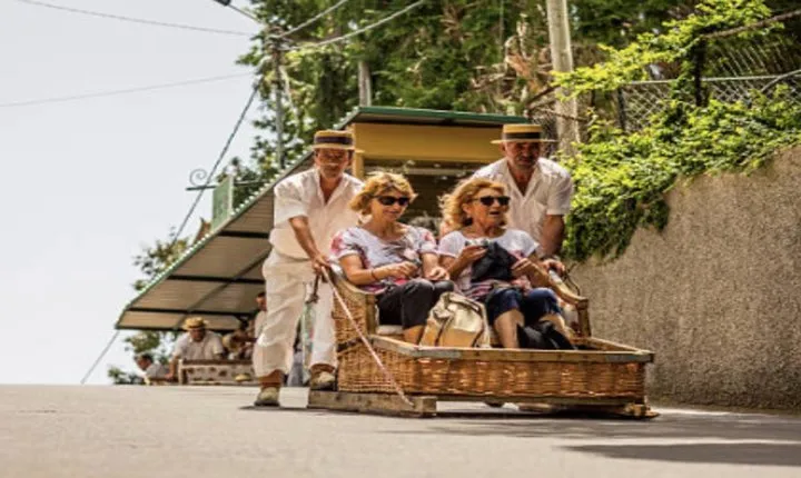 Shore Excursion: Private Madeira Tour & Wine Tasting
