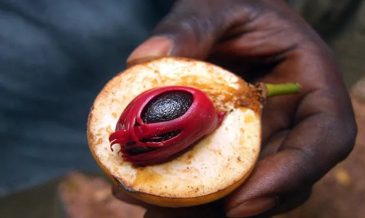 Zanzibar Spice Tour