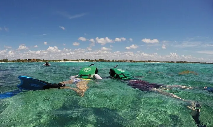Snorkeling with Caribbean fish and private cenote exploration