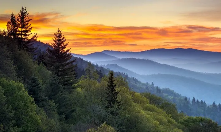 4-Day Tennessee Great Smoky Mountain Tour from New York