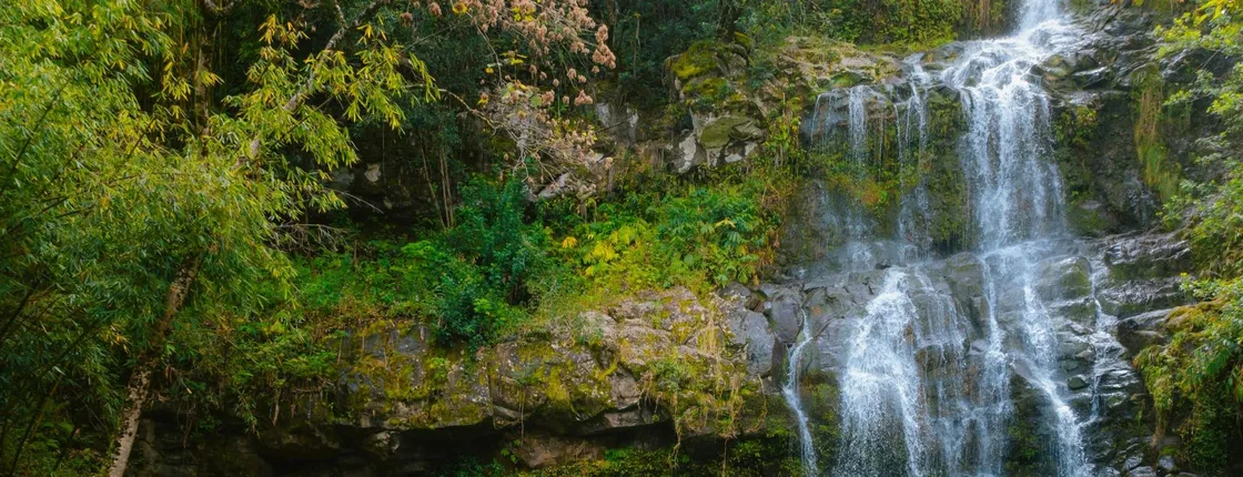 Adventure tour of Kohala waterfalls