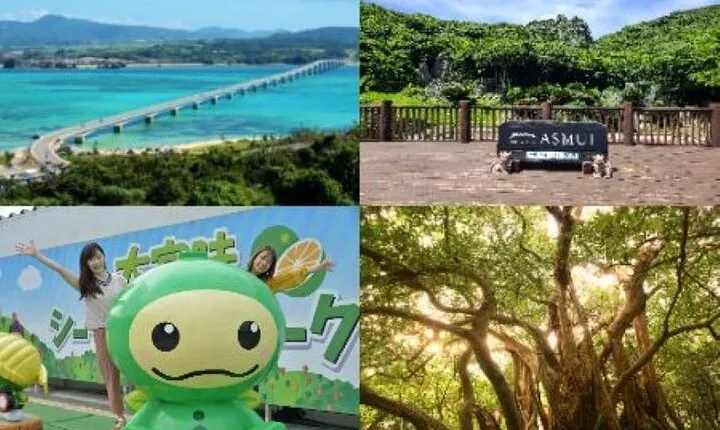 Okinawa Hip-hop Bus C Course Tour to Northern Island