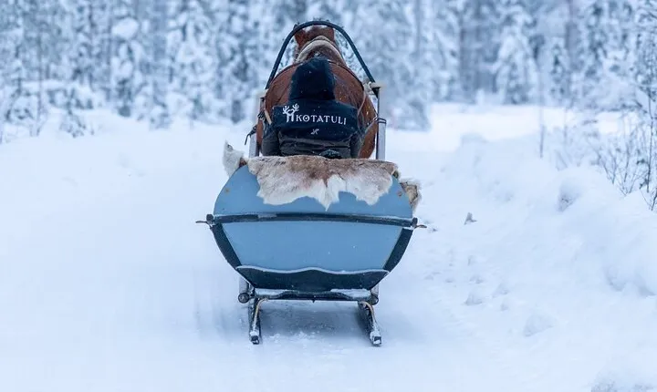 Horse Drawn Sleigh Experience in Finnish Lapland