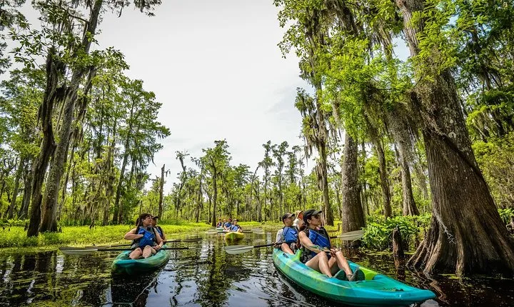 Small-Group Manchac Swamp Kayak Tour with Local Guide