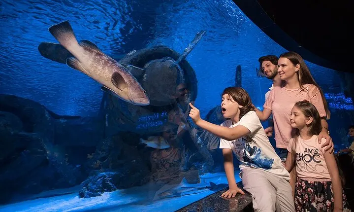 Antalya Aquarium with Entrance and Roundtrip Transfer from Alanya