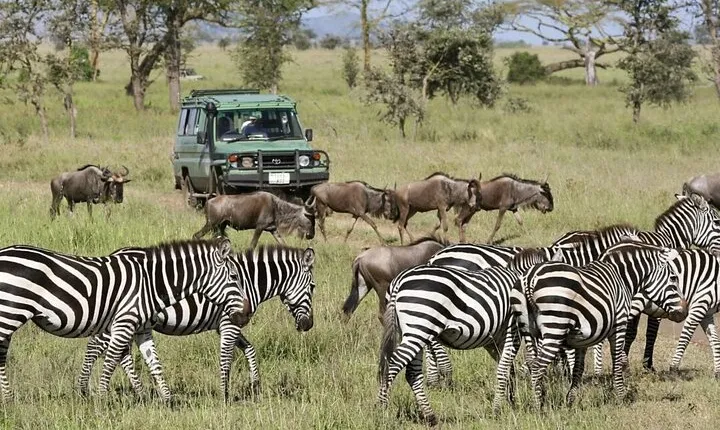 3-Day Ngorongoro Crater Manyara and Tarangire Safari from Arusha