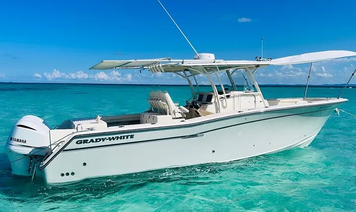 Private All-Inclusive Boat Charter to Icacos or Palomino island
