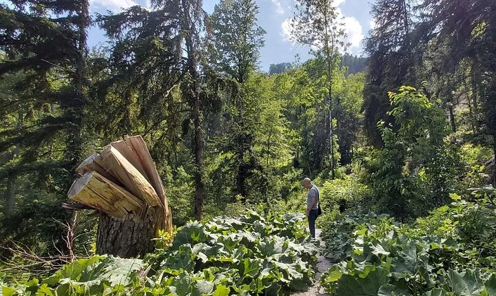 Mountain air and city pulse: Hike with Alpine flair