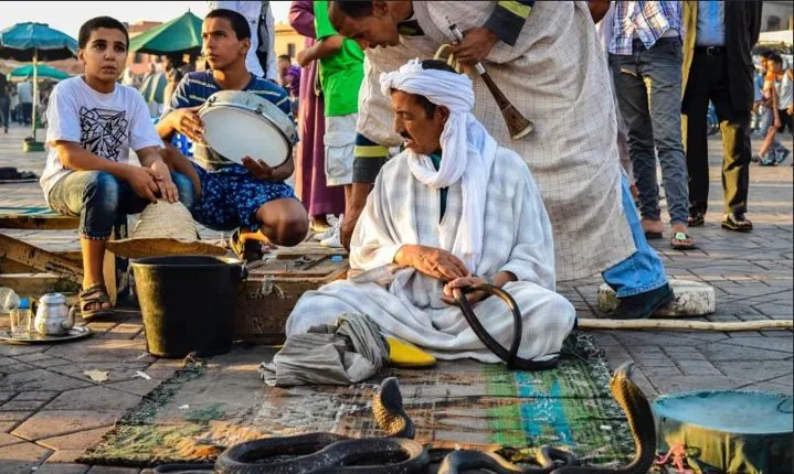 Half-Day Guided Tour: Monuments and Souks of Marrakech