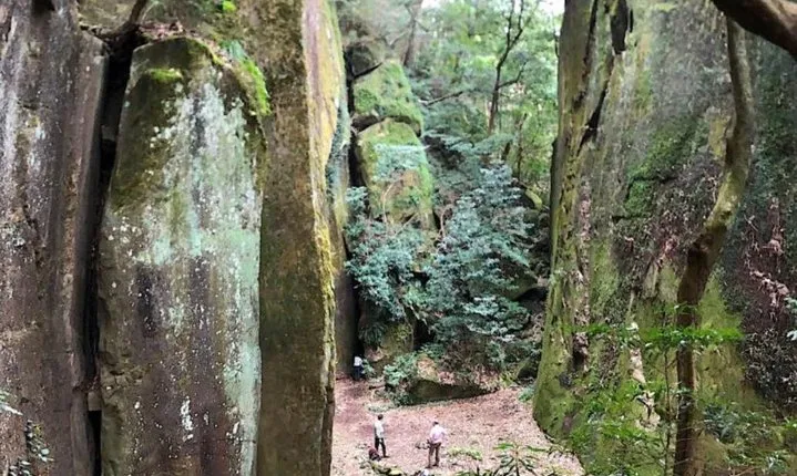 Hike Rope Ladders Miyazaki Japan