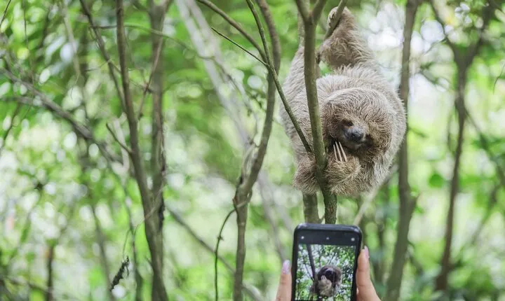 Coffee & Chocolate Tour+Sloths Park & Llanos de Cortez Waterfall