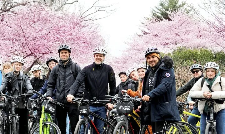 Washington DC Cherry Blossoms By Bike Tour
