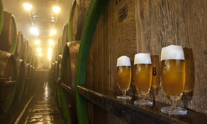 Pilsen Highlights Small-Group Tour and Pilsner Brewery Tour including Lunch and Beer Tasting