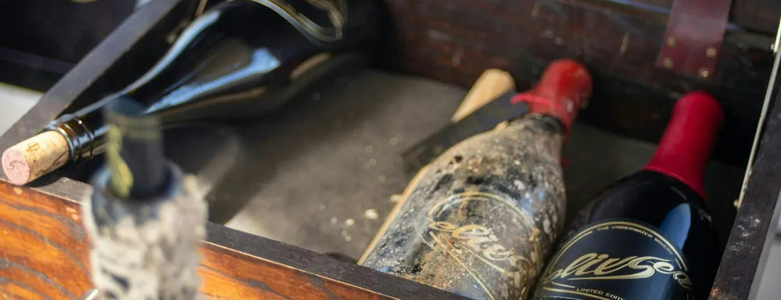 Submarine Wines Tasting Experience with Sailing Tour in Barcelona