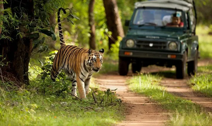 7 Days Golden Triangle Tour with Ranthambore: Delhi Agra Jaipur