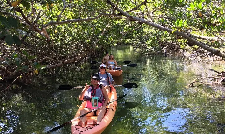 Mangroves and Manatees - Guided Kayak Eco Tour